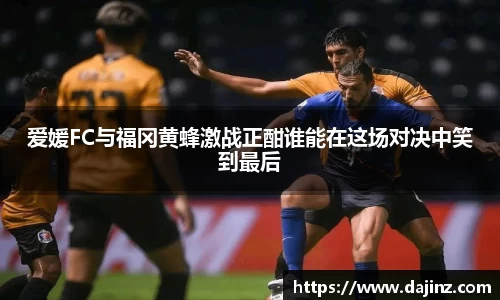 爱媛FC与福冈黄蜂激战正酣谁能在这场对决中笑到最后